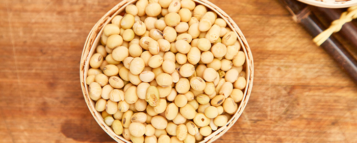 期货中豆一和豆二合约的区别