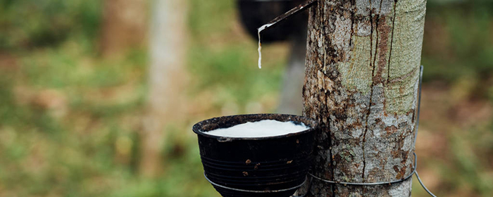 橡胶期货与20号胶的区别