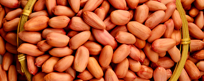 花生期货什么时候上市的