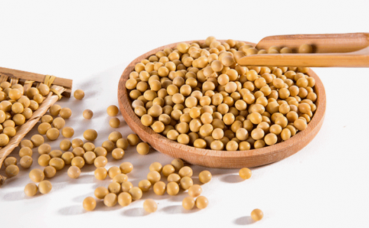 黄大豆1号期货概述与价格影响因素