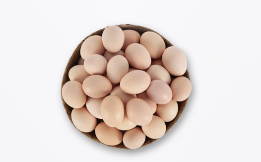 鸡蛋期货概述和价格影响因素