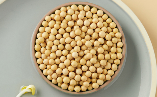 黄大豆2号期货概述与价格影响因素