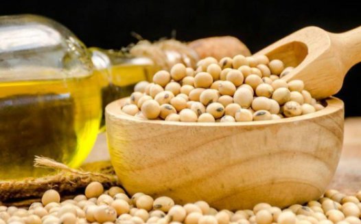 豆油期货概述和价格影响因素