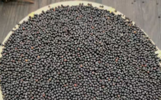 油菜籽期货概述与价格影响因素