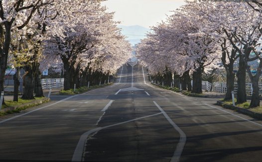 如何建立适合自己风格的交易系统